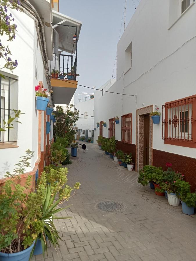 Casa Jurel Lejlighed Conil De La Frontera Eksteriør billede